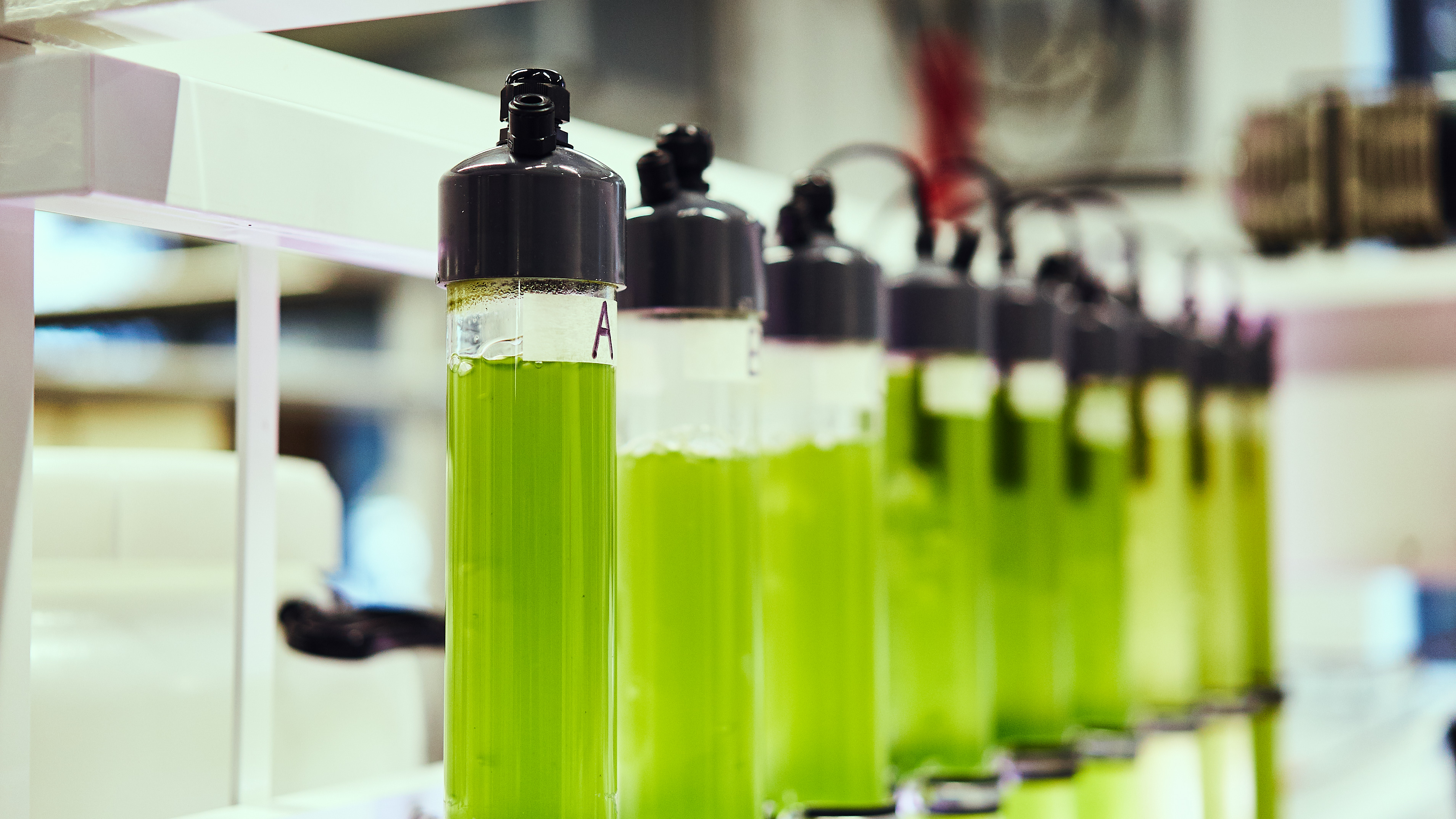 Experiments carried out in a lab